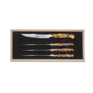 GIESSER PremiumCut Steakmesser Set Spicy Orange - 4er Set